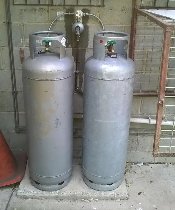 Twin LPG cylinders with a regulator and pigtails against a block wall